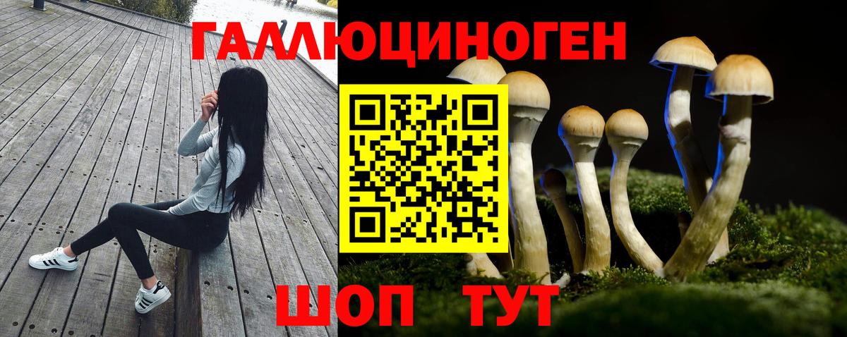 Псилоцибиновые грибы MAGIC MUSHROOMS Клинцы